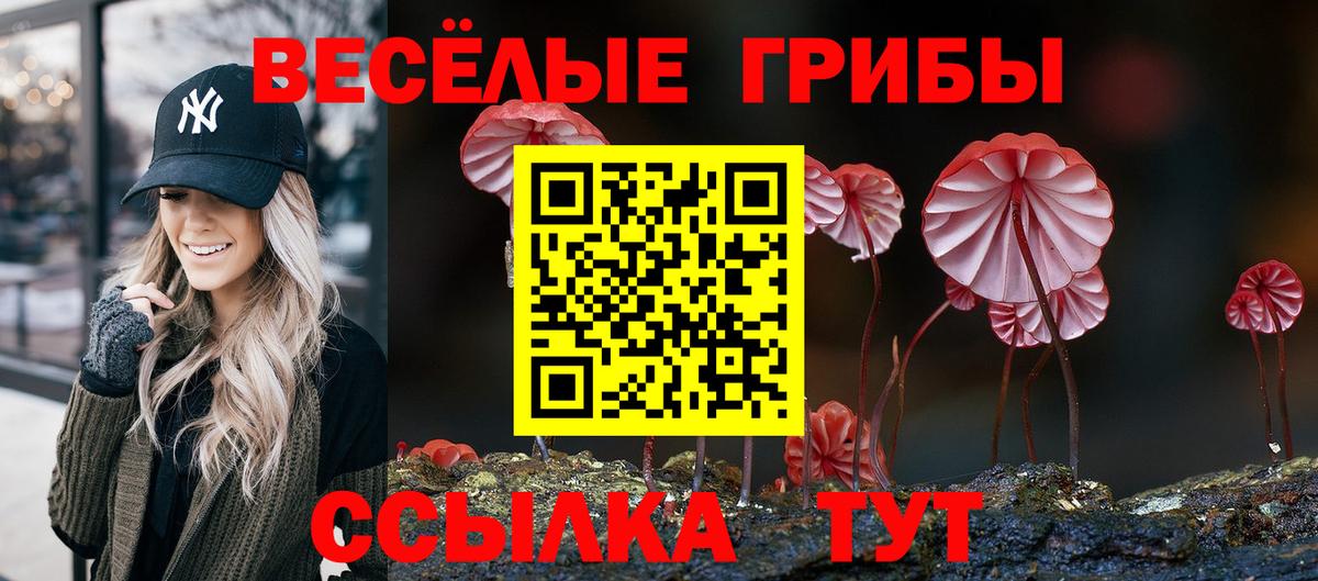 Щёлково  Псилоцибиновые грибы Cubensis  где купить наркоту  Вход с VPN  Псилоцибиновые грибы Cubensis 
