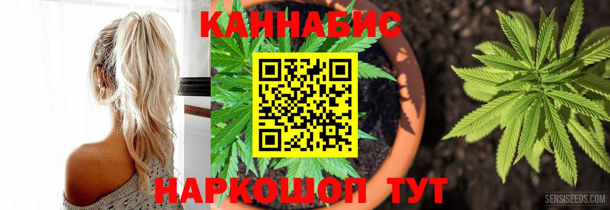 Бошки Шишки семена Щёлково